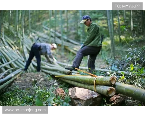 莫干山站创新障碍毛竹搬运 引领斯巴达勇士赛新潮流